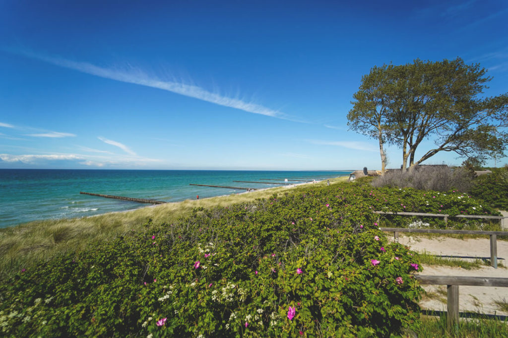 Ahrenshoop-Strand-Aussicht-Weg-zum-hohen-Ufer