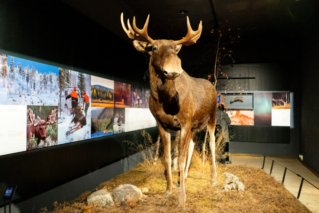 Arktikum Rovaniemi