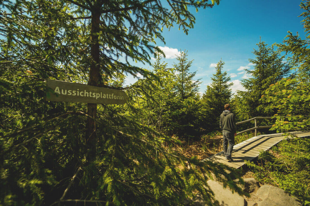 Baiersbronn-Schwarzwald-Lotharpfad-Aussichtsplattform