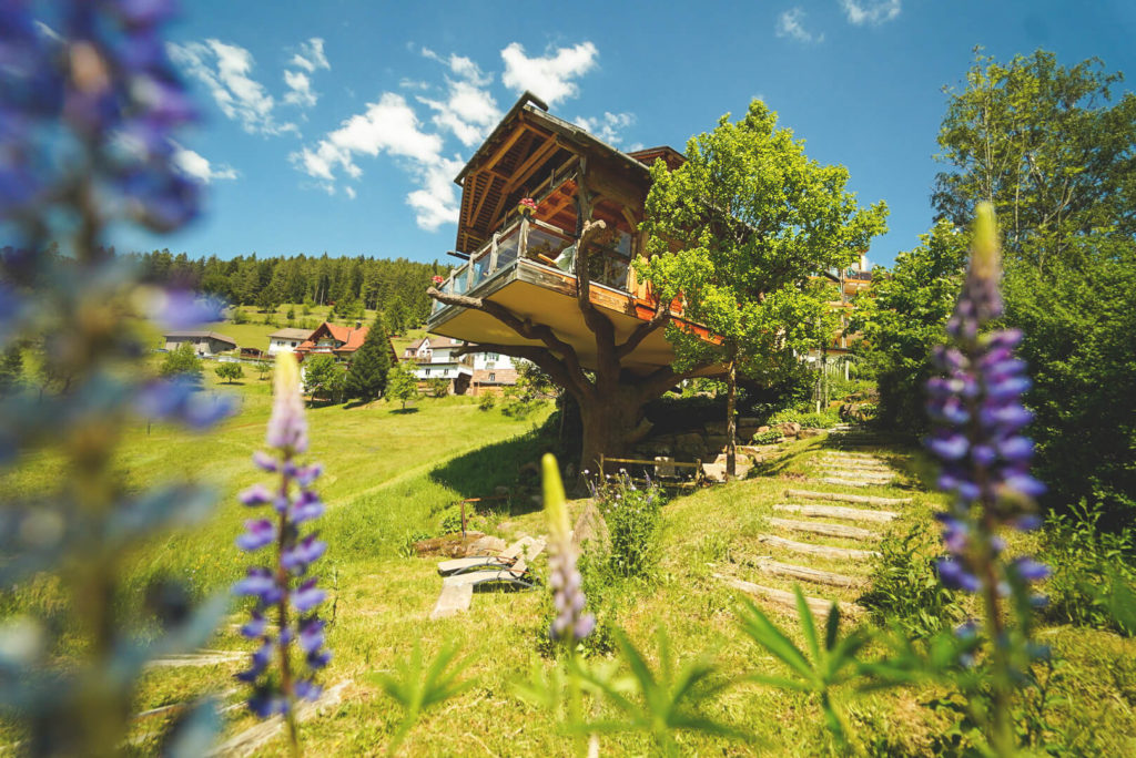 Baiersbronn-Schwarzwald-Urlaub-Wellnesshotel-Tanne-Baumhaus