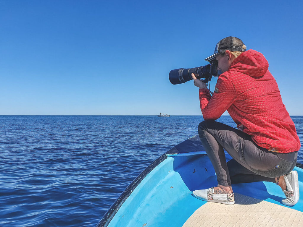 Baja-California-Magdalena-Bay-Whale-Watching-1