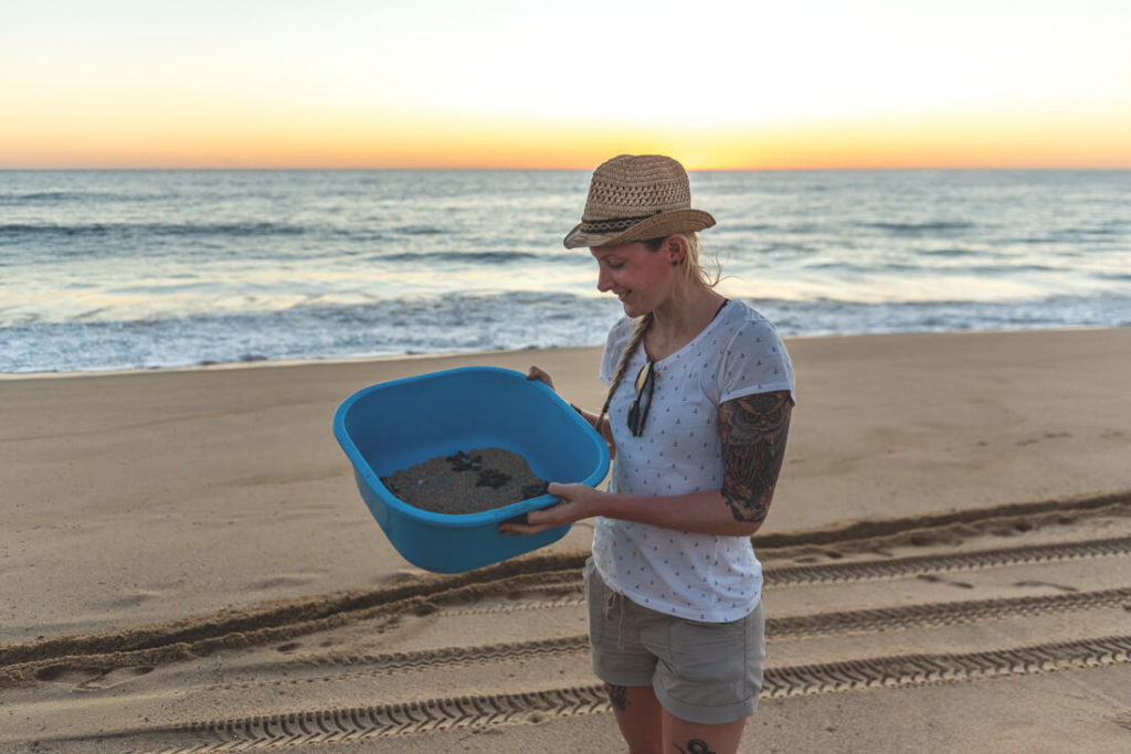 Baja-California-Schildkroeten-Tortugueros-Las-Playitas-4
