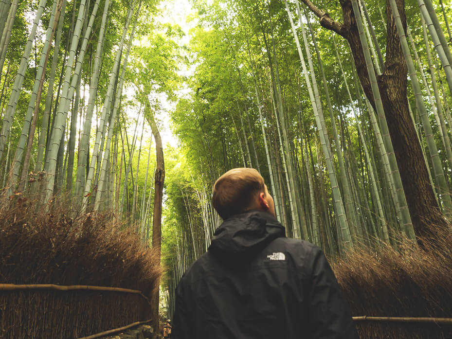 Bamboo-Forest-Kyoto-Japan-Rundreise