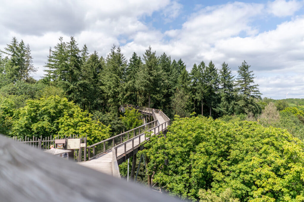 Saarschleife Treetop Trail