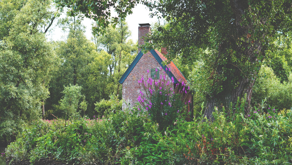 Biesboch-National-Park-Dordrecht-Holland-Rundreise-Holland-Haus-1