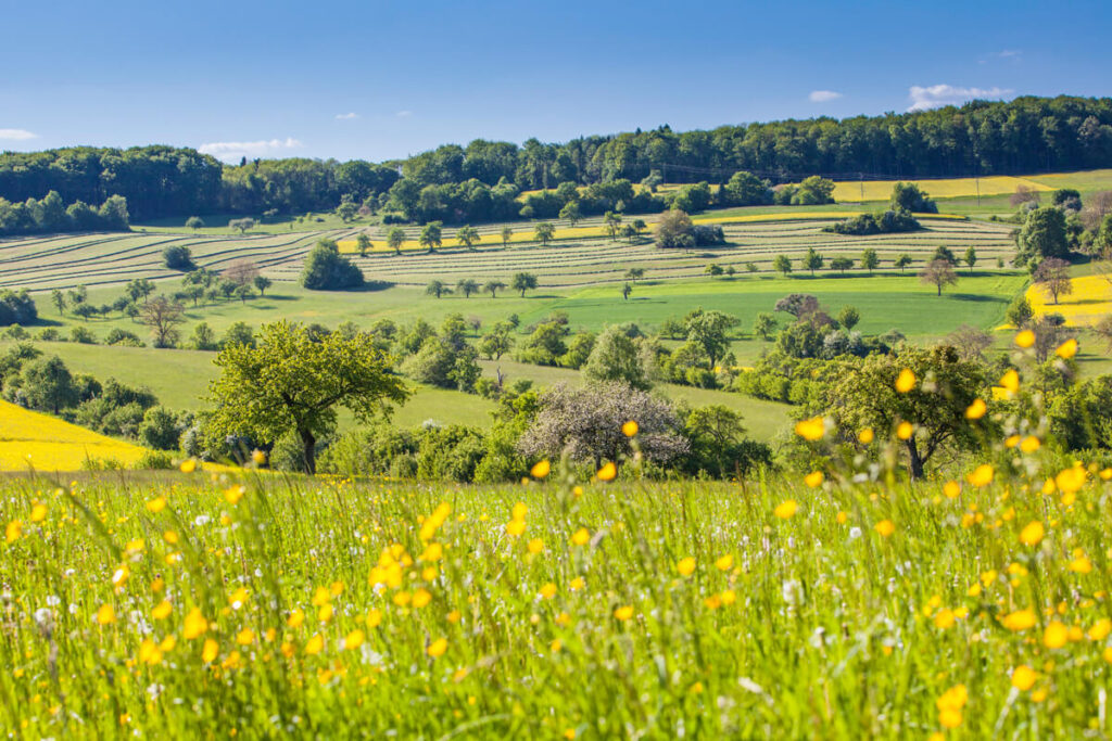 Bliesgau Biosphere Reserve Saarland