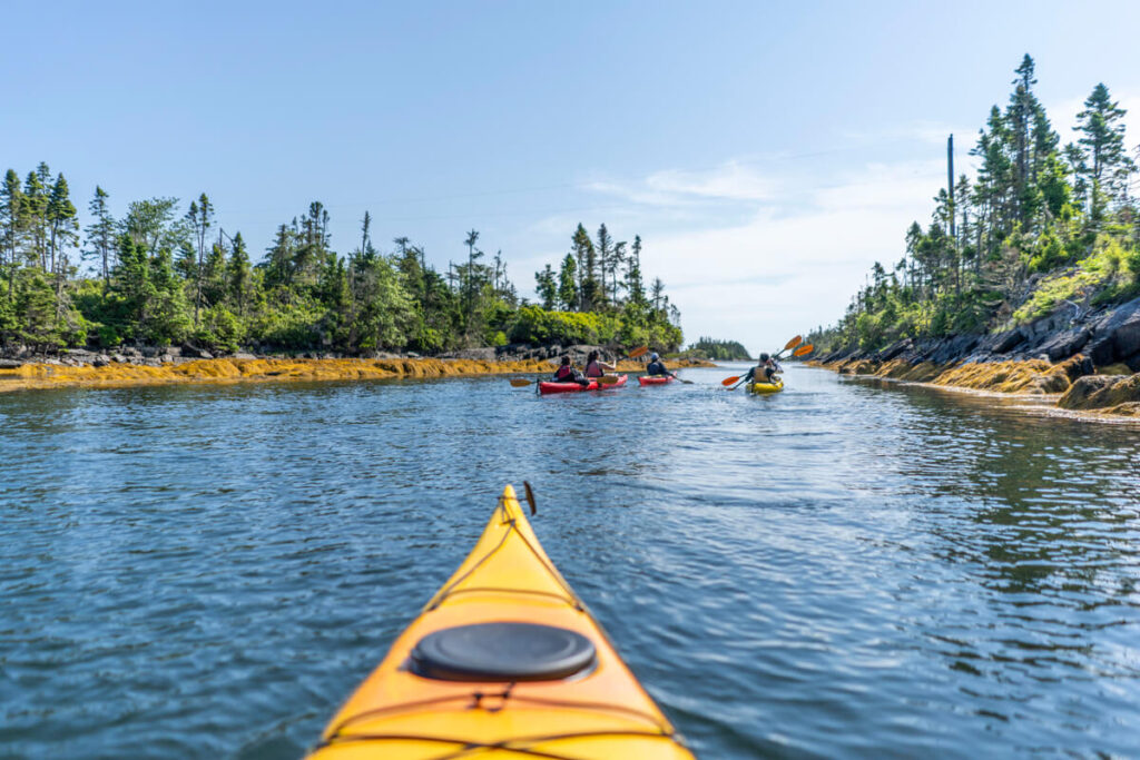Blue Rocks Kayak: туристичні напрямки Нової Шотландії у серпні
