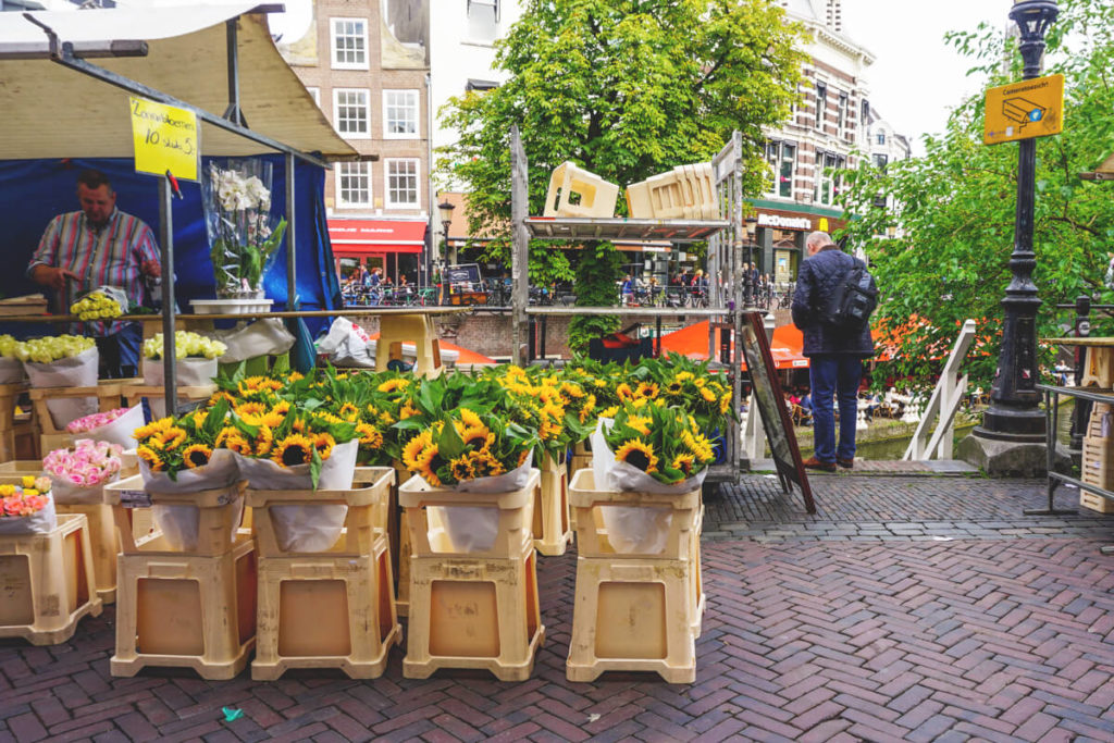 Blumenmarkt-Utrecht-Highlights-Niederlande