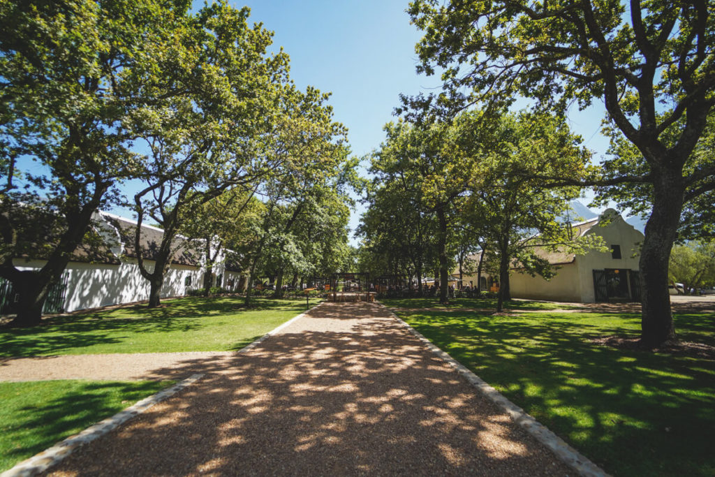 Boschendal-Weingut-Winelands-Suedafrika