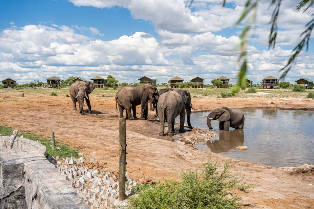 Botswana-Campsite-Elephant-Sands-3