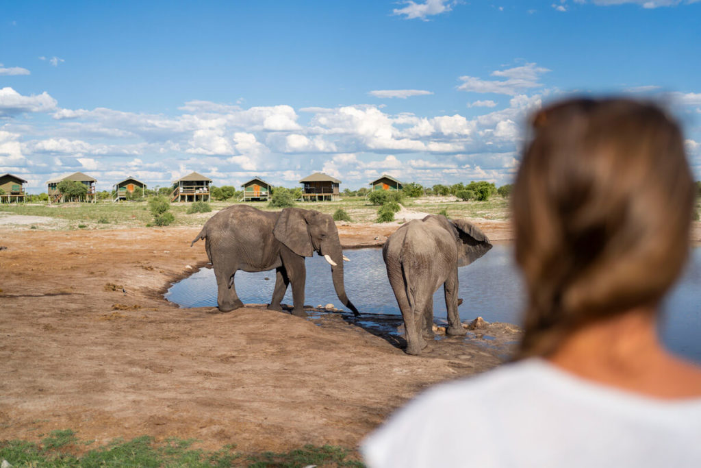Основні моменти Ботсвани: Elephant Sands Lodge