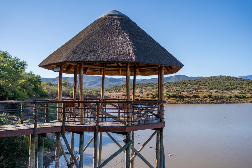 Buffelsdrift-Game-Lodge