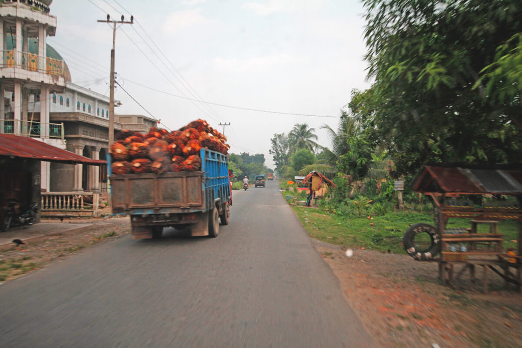 Bukit-Lawang-Sumatra-Anreise-Strasse