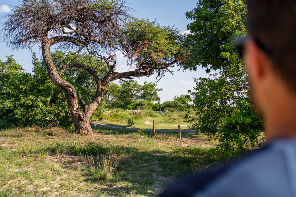 Campsites-Botswana-Third-Bridge-Camp_4