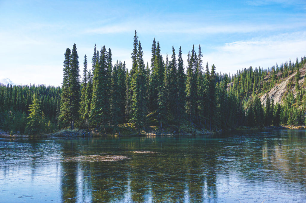 Denali-Nationalpark-Alaska-Highlights 