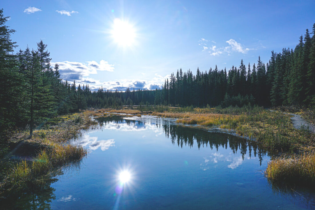 Denali-Nationalpark-Alaska-Highlights