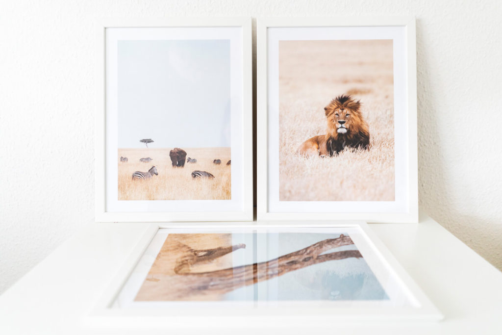 Desenio Poster Africa South Africa Lion Elephant Cheetah