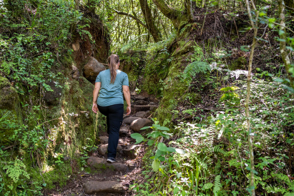 Hiking Drakensberg