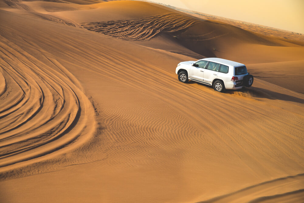 Sights in Dubai Desert Safari Jeep