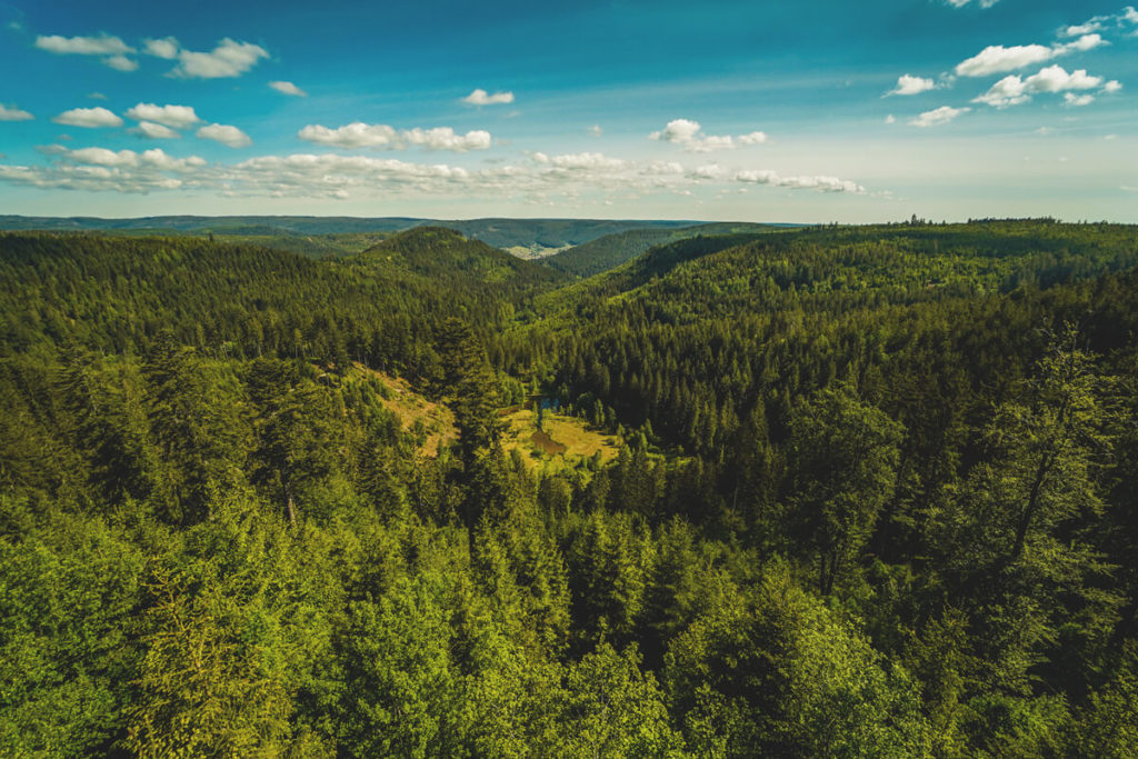 Ellbachsee-Ellbachseeblick-Aussichtsplattform-Baiersbronn-Schwarzwald-2