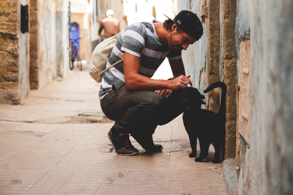 Essaouira-Altstadt-Medina-Marokko-Katze-Marco