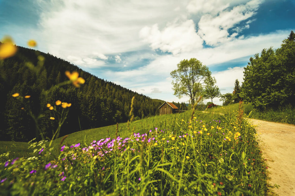 Fahrradtour-Baiersbronn-Sankenbachsee