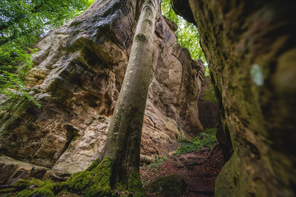 Felsen-Mullerthal-Luxemburg