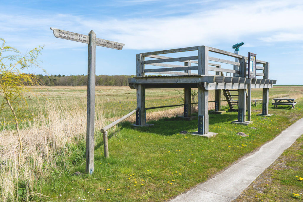 Fischland-Darss-Fahrradtour-Pramort-Aussichtsplattform