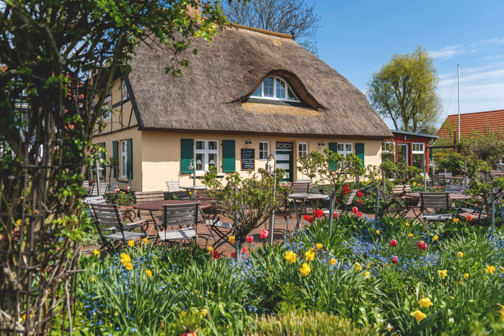 Fischland-Darss-Ostseebad-Zingst-Cafe-Rosengarten