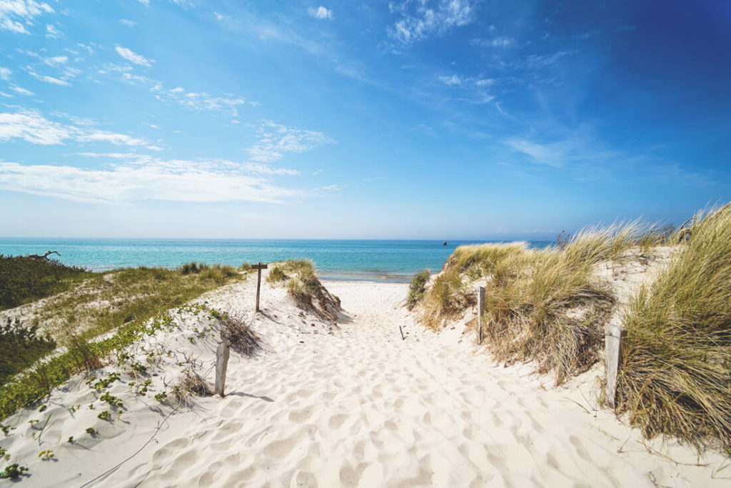 Fischland-Darss-Zingst-Boddenlandschaft-Wanderung