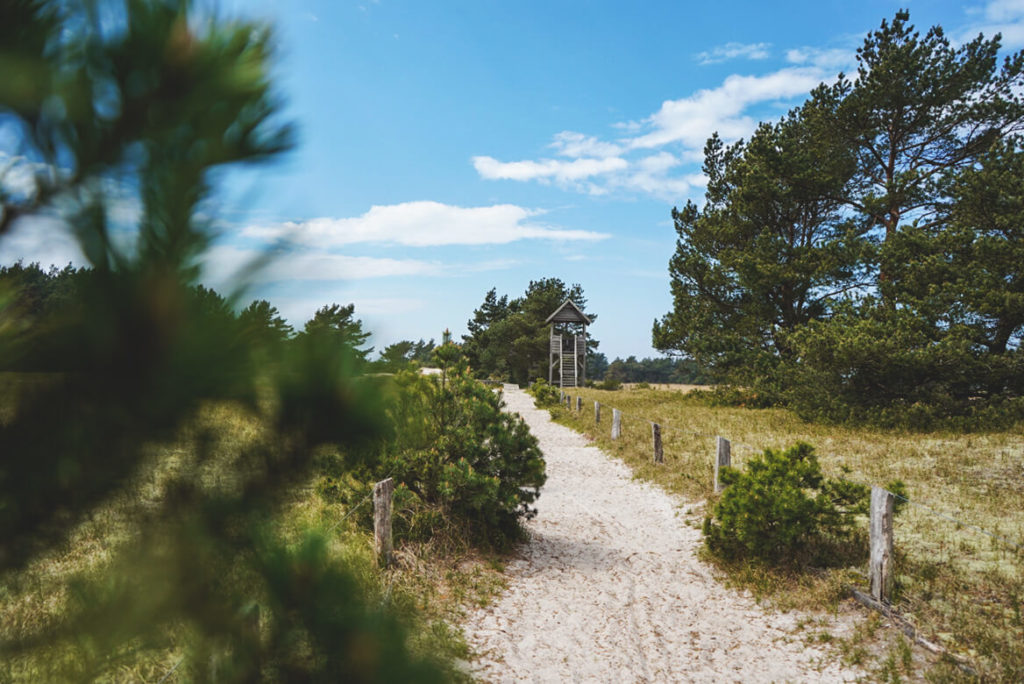 Fischland-Darss-Zingst-Nationalpark-Aussichtsplattform