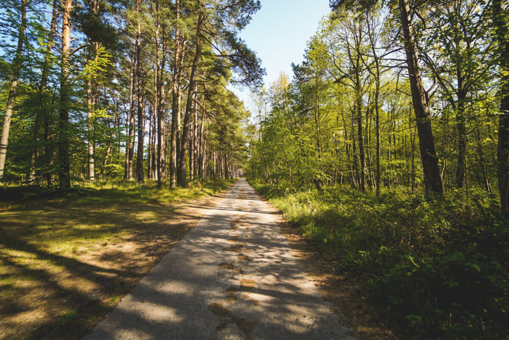 Fischland-Darss-Zingst-Wanderung-Nationalpark
