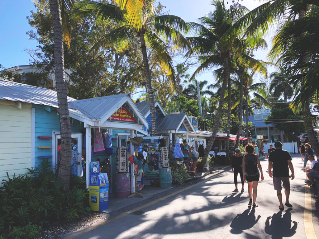 Florida-Rundreise-Palmen-Miami
