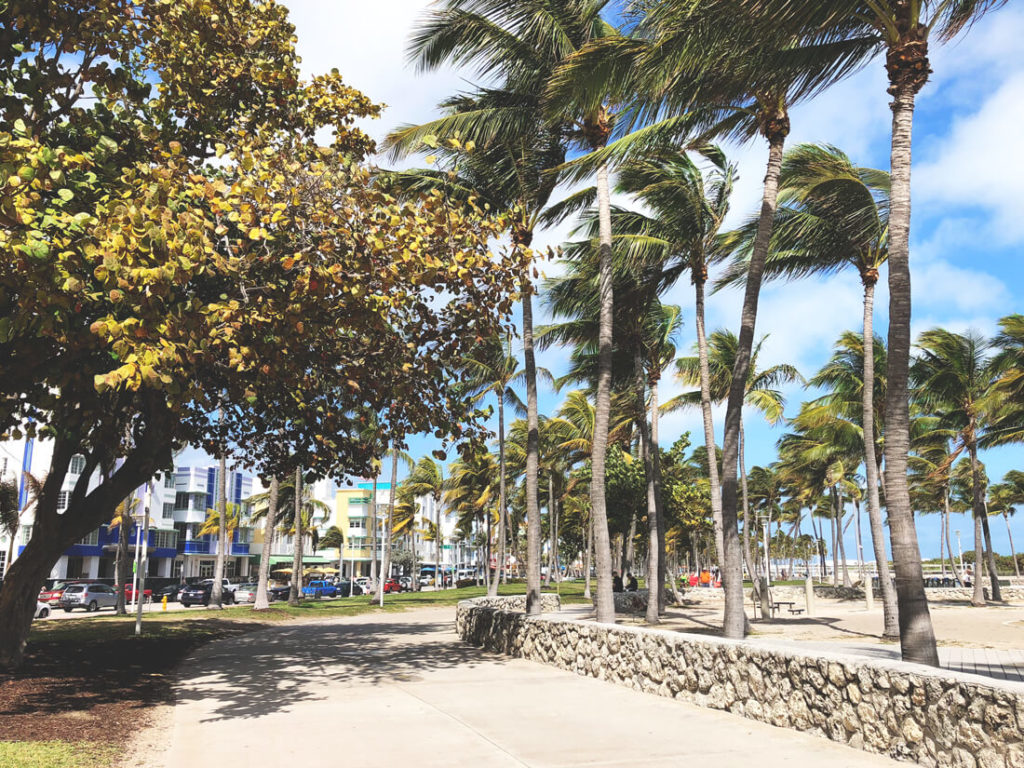 Florida-Rundreise-Promenade-Strand-Palmen