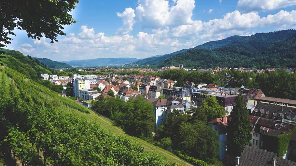Freiburg-Aussicht-Weinberge-Schlossberg-Tour