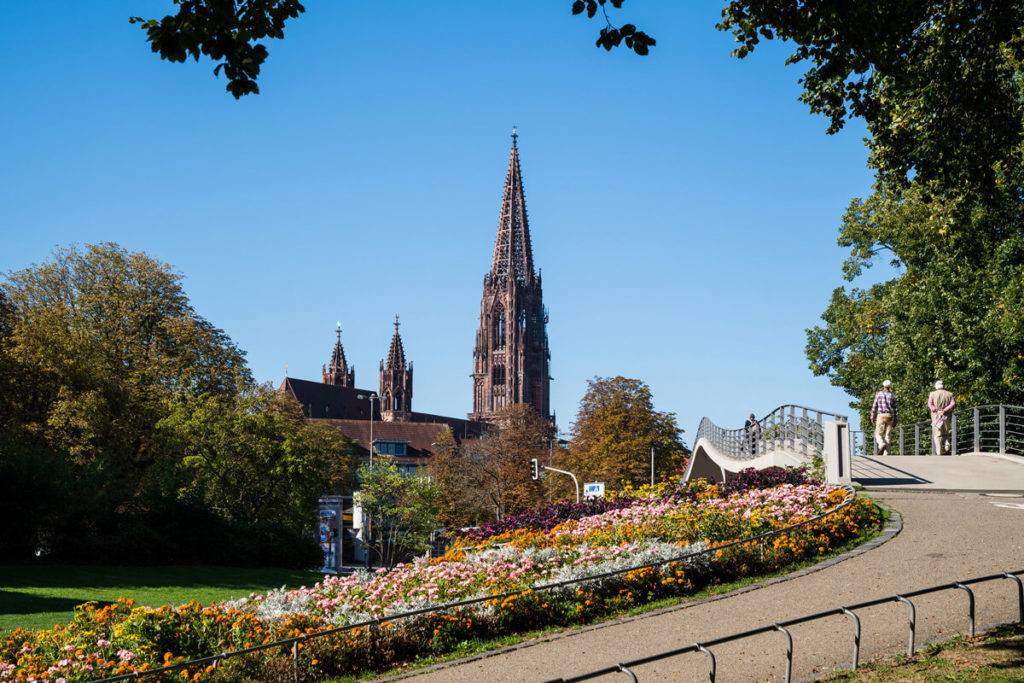 Freiburger Münster