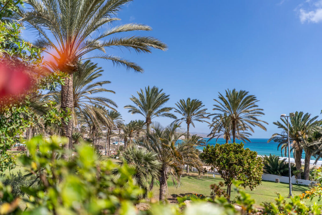 Costa Calma Fuerteventura