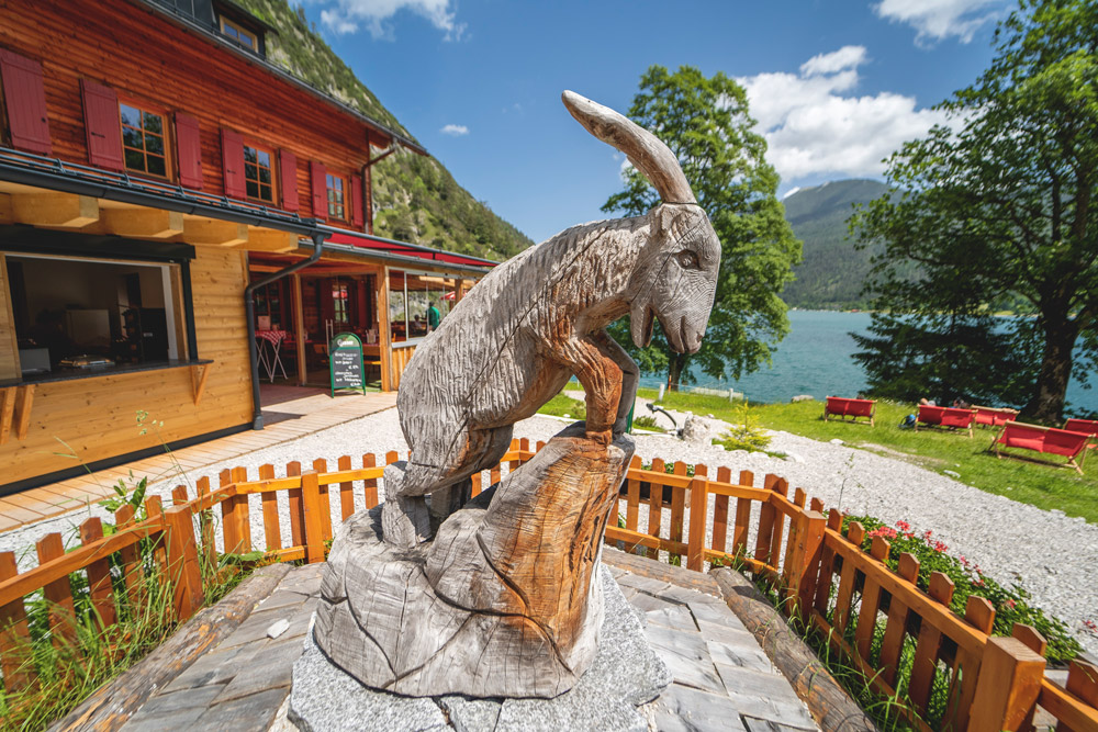 Gaisalm-Achensee-Tirol