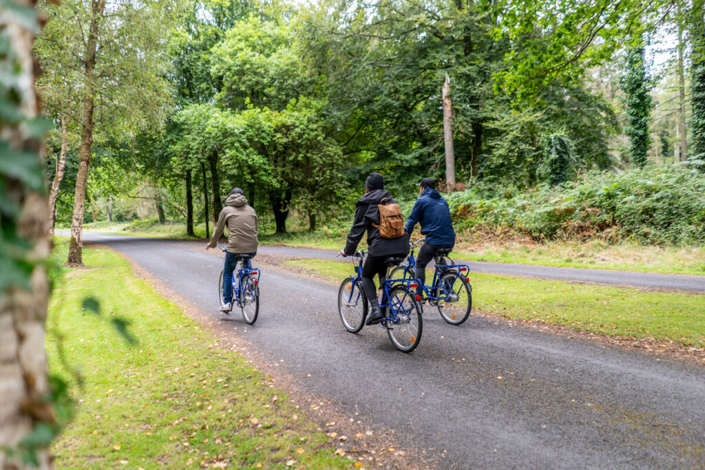 Bicycle Tour Portumna