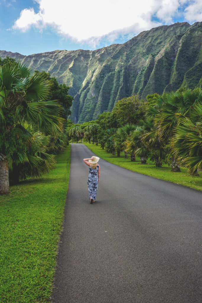 Hawaii-Highlights-Botanical-Garden-Oahu (1)