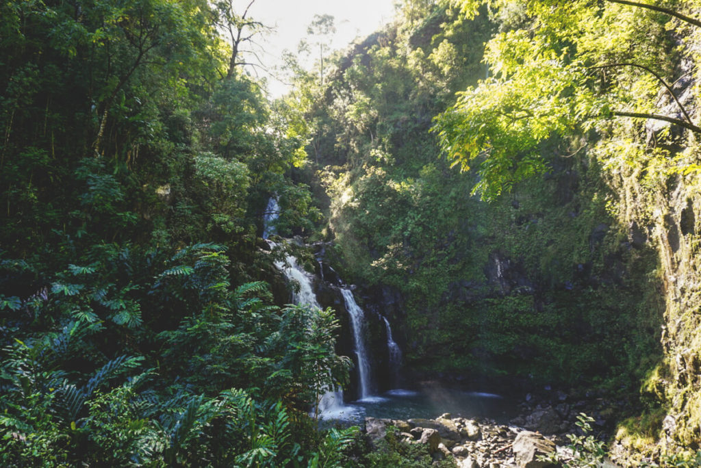 Hawaii-Highlights-Road-to-Hana-Maui-2