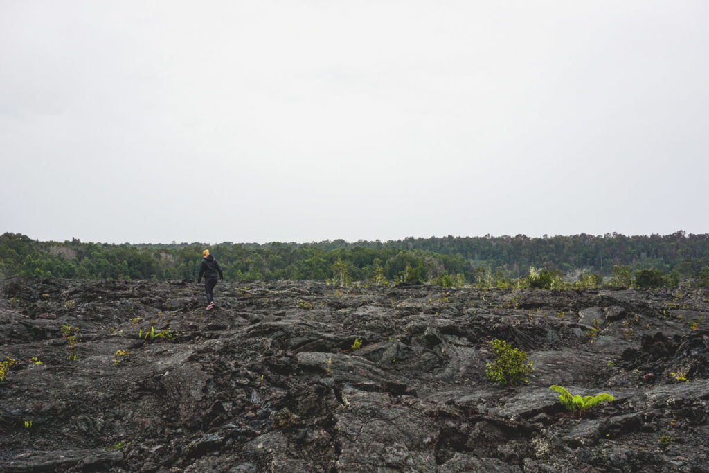 Hawaii-Volcanoes-National-Park-Big-Island