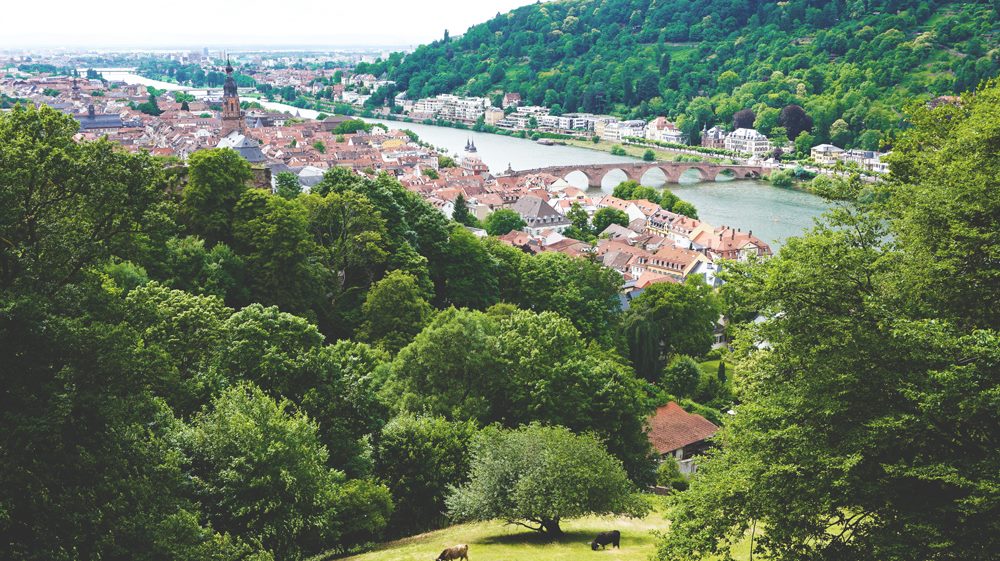 Heidelberg-Tipps-Aussicht-Schloss-Alte-Bruecke