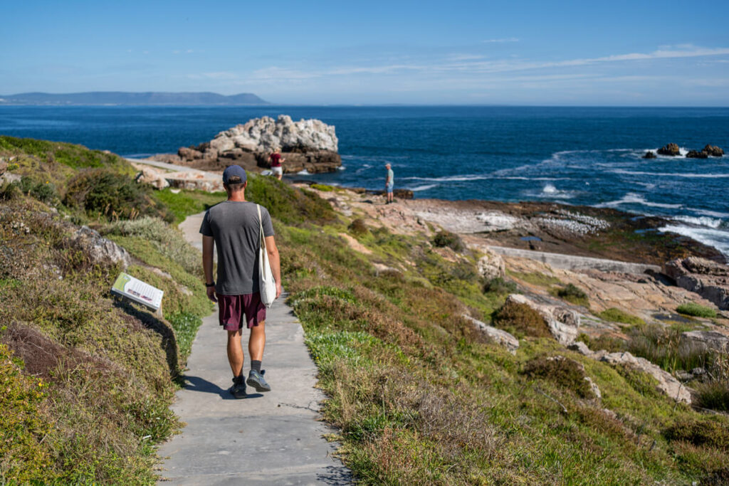 Hermanus Sights Cliff Path Trail