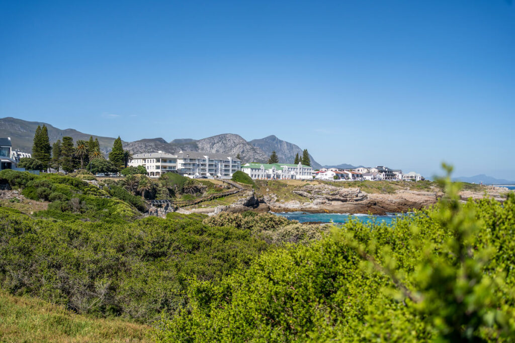 Hermanus Sights