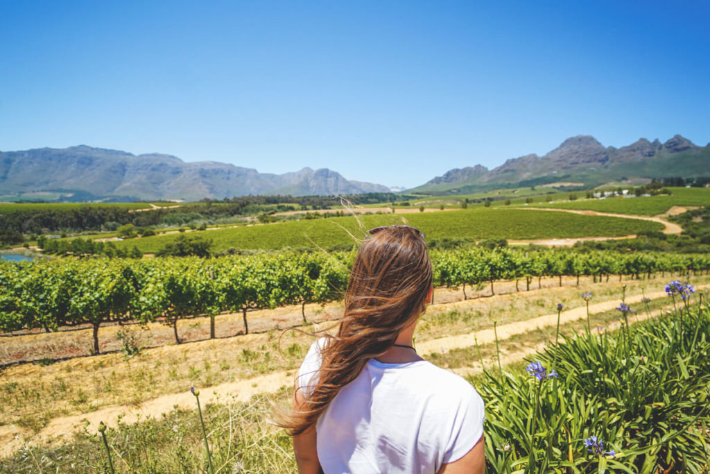 Hidden-Valley-Wines-Winelands-Suedafrika