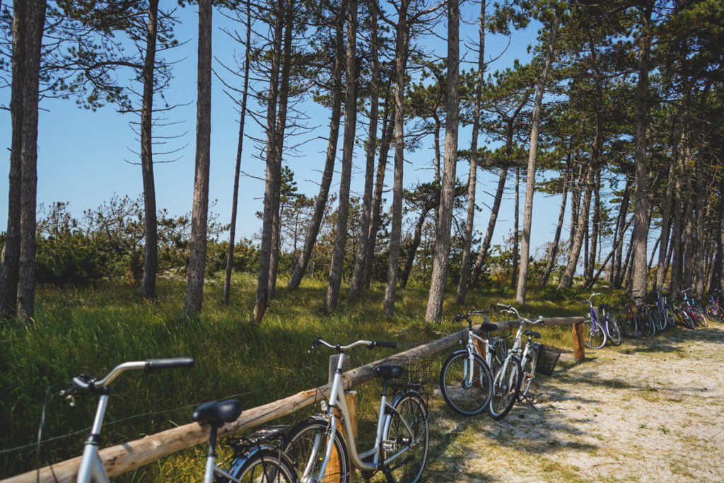 Hiddensee-Fahrrad-Strand-Duenen