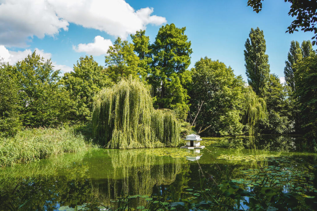 Highlights-Wismar-Lindengarten-See