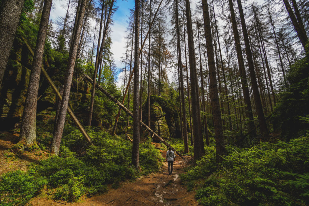 Hinterhermsdorf-Obere-Schleuse-Kirnitzschtal-Wanderung