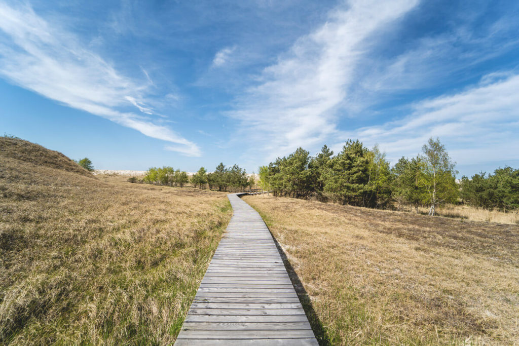 Hohe-Duene-Pramort-Zingst-Holzpfad